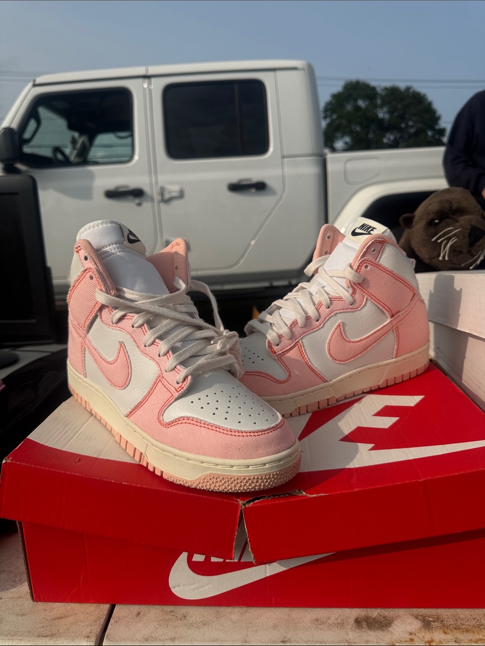 Nike Dunks - Picture 1 of 5